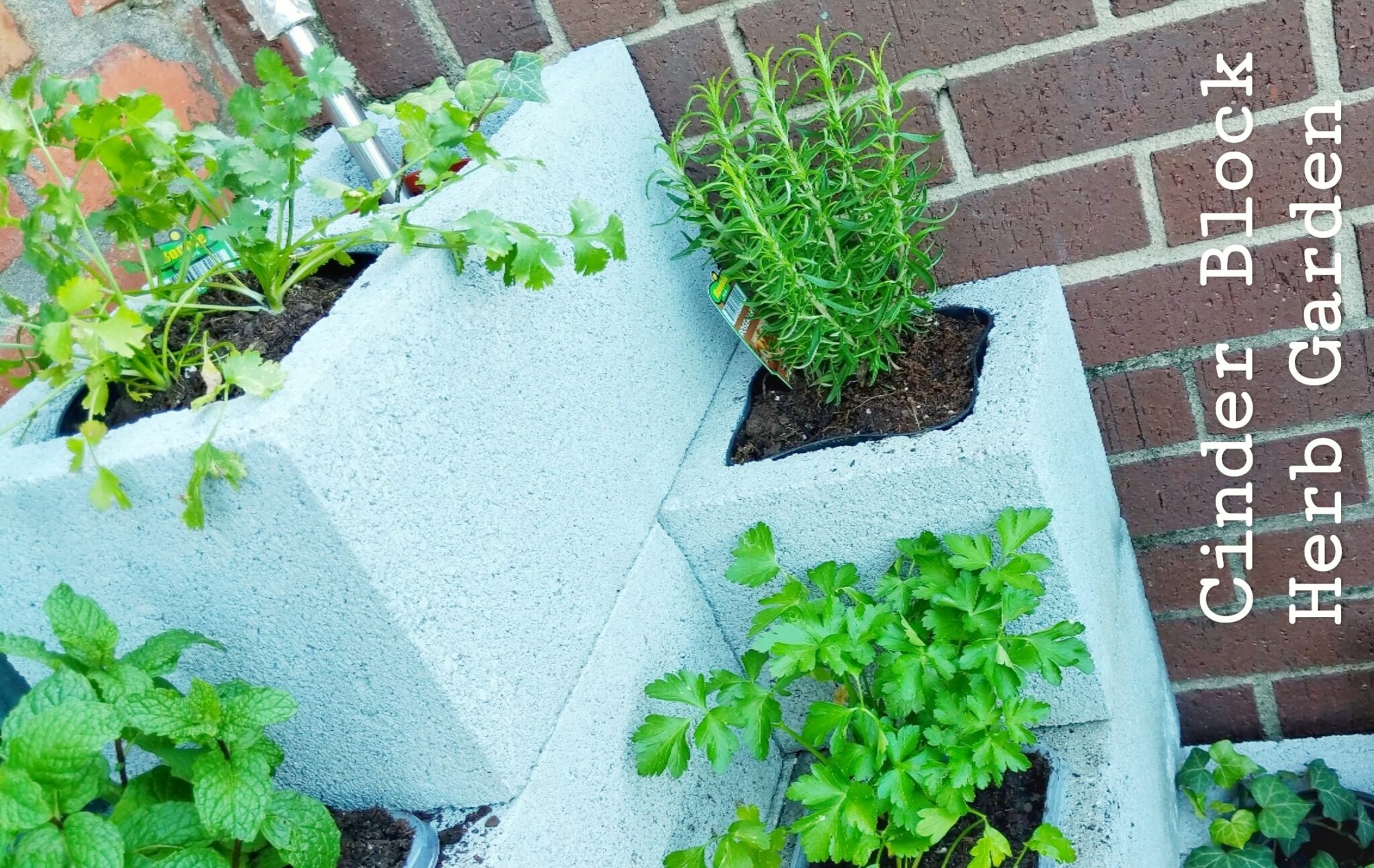 Diy Cinder Block Herb Garden Baubles Bubbles 6900