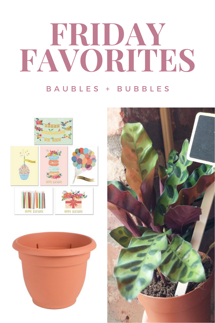 2/28 Friday Favorites | Baubles + Bubbles