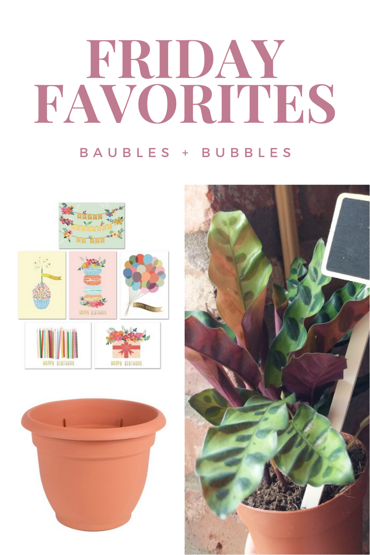 2/28 Friday Favorites