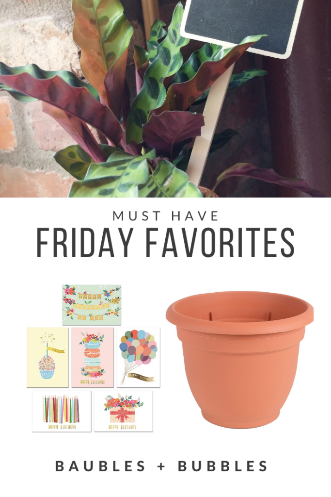 Must Have Friday Favorites | Baubles + Bubbles Blog