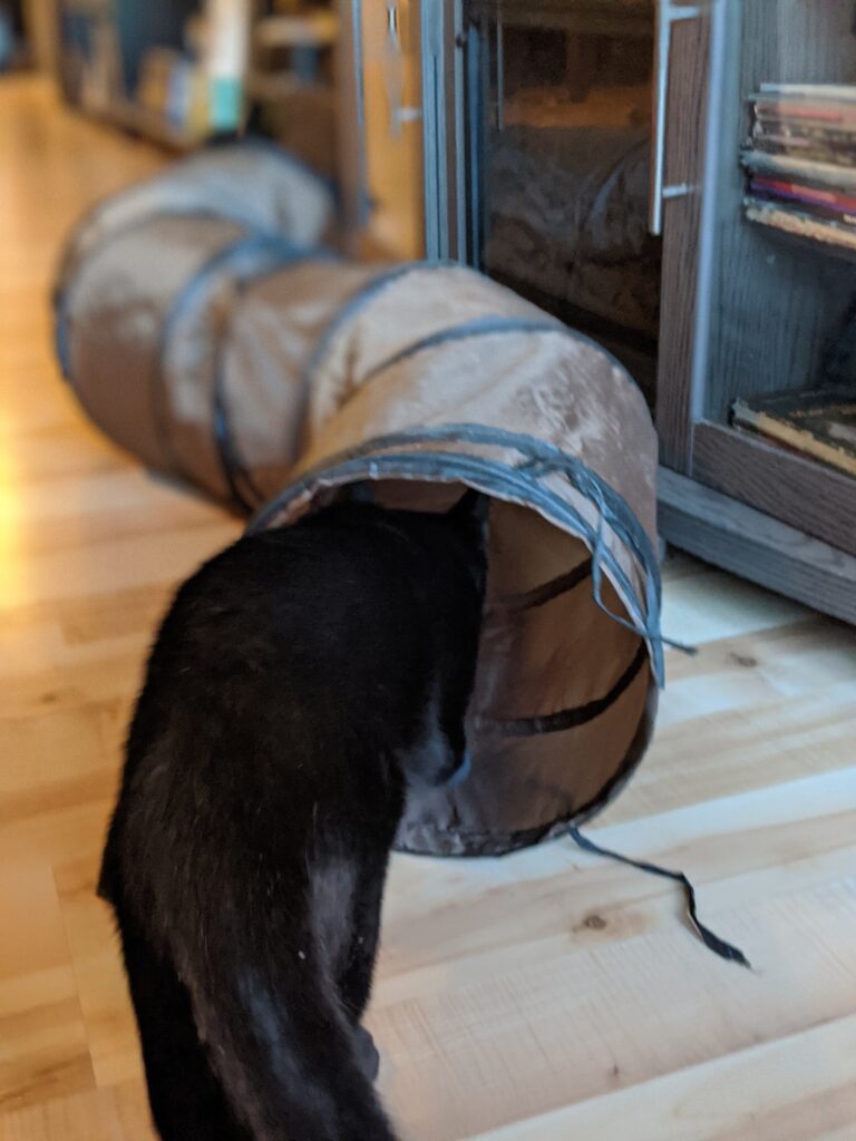 Collapsible Tunnel - Cat Essentials | Baubles & Bubbles Blog