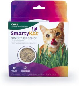 Cat Grass - Kitty Essentials | Baubles & Bubbles Blog