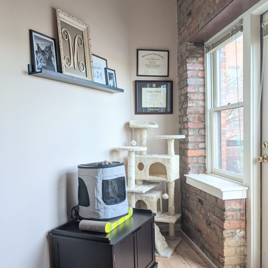 Cat Bathroom Storage Bench - Kitty Essentials | Baubles + Bubbles Blog