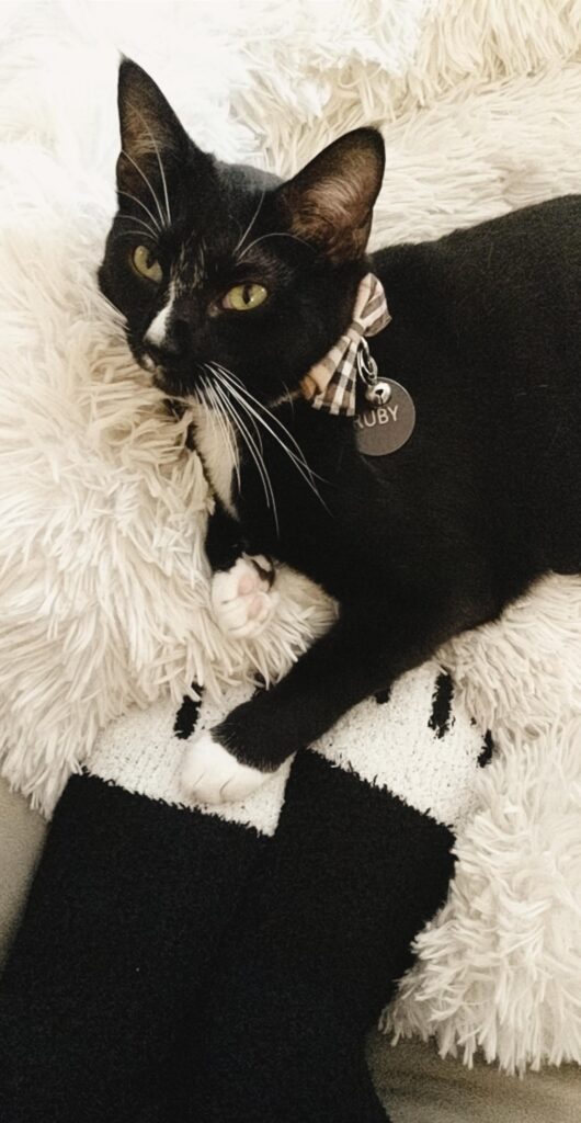 Matching Fuzzy Cat Paw Socks | Baubles & Bubbles Blog