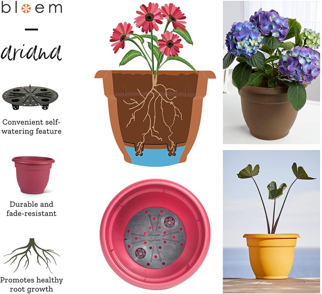 Self Watering Planters - Amazon Essentials: Plant Products | Baubles + Bubbles