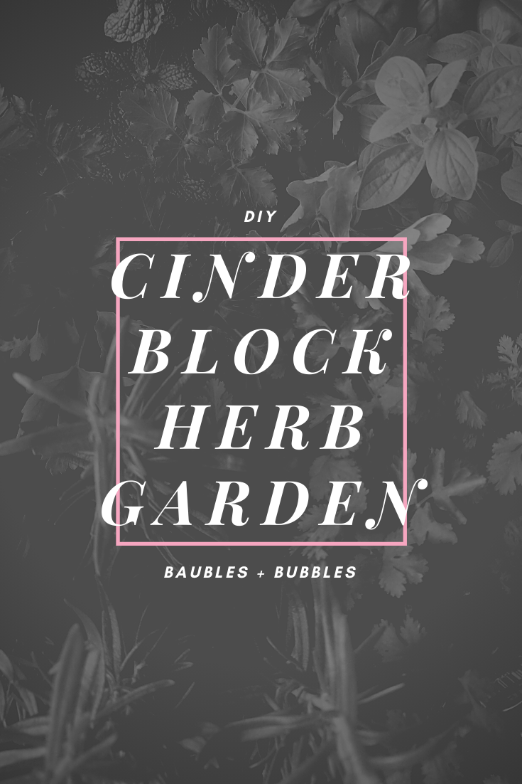 DIY Cinder Block Herb Garden