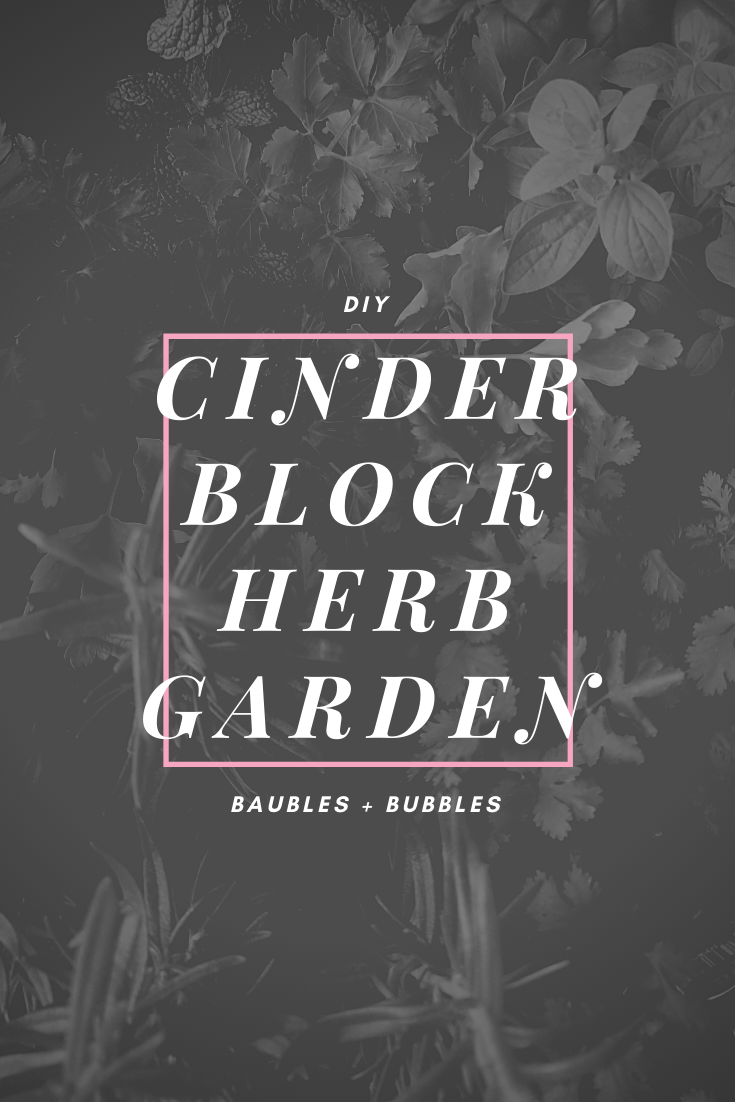 DIY Cinder Block Herb Garden | Baubles + Bubbles