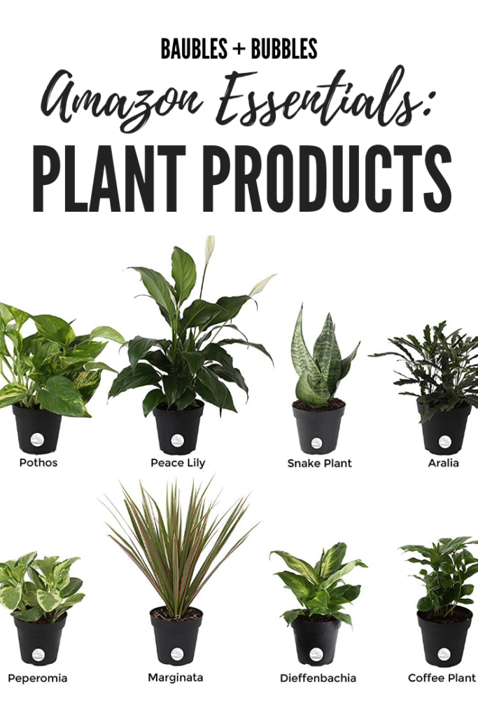 Amazon Essentials - Must Have Plant Products | Baubles + Bubbles